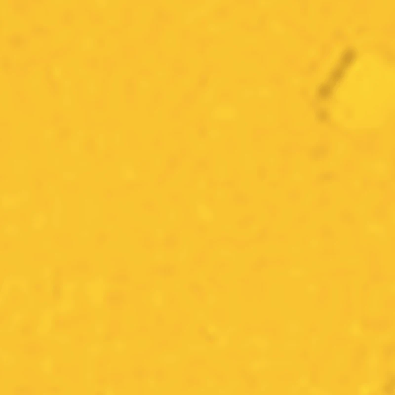 PIGMENTI PURI 3GR 13 PIGMENTI PURI 3GR - immagine 13