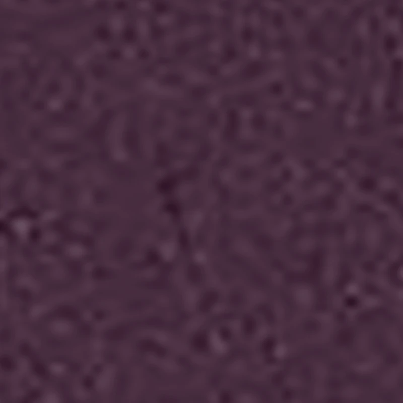 PIGMENTI PURI 3GR 8 PIGMENTI PURI 3GR - immagine 8