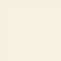 PRESSED POWDER 9 PRESSED POWDER -Trucco Di Halloween 800x800 lor81 pressed powder 2