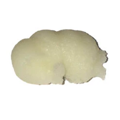 CREAMY Full Cover Make Up -Trucco Di Halloween 800x800 maq9100 creamy full cover make up 4