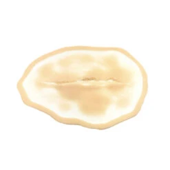 TAGLIO COLLO 2 SILICONE